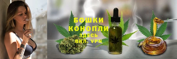 прущая мука Горняк
