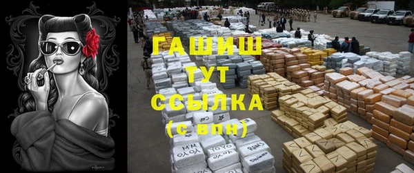 сатива Гусь-Хрустальный