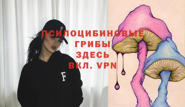 тгк Гусиноозёрск